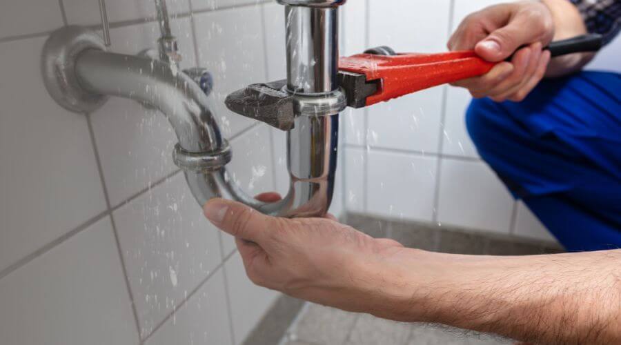 Professional Leak Detection services in Alvarado, MN